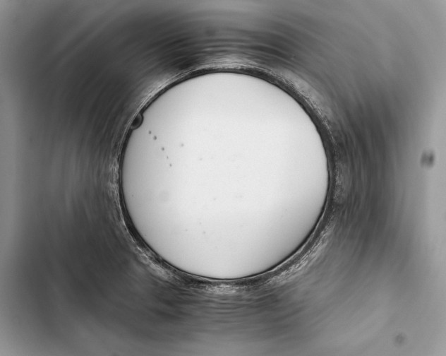 X0000103501329200810031619