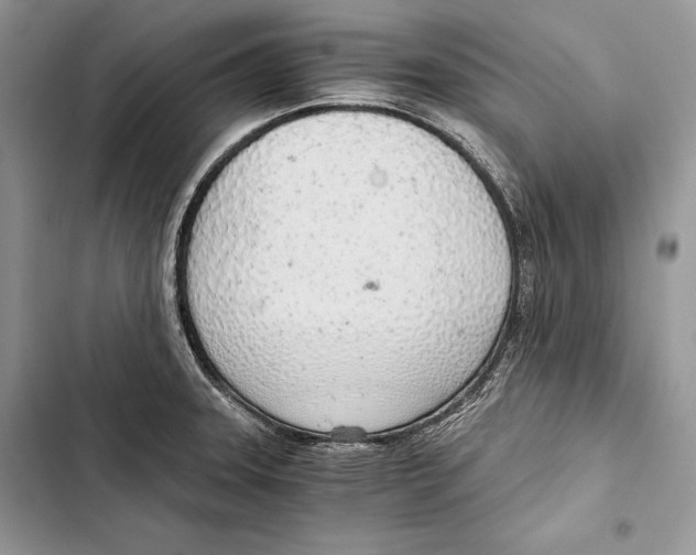 X0000103501331200810031619