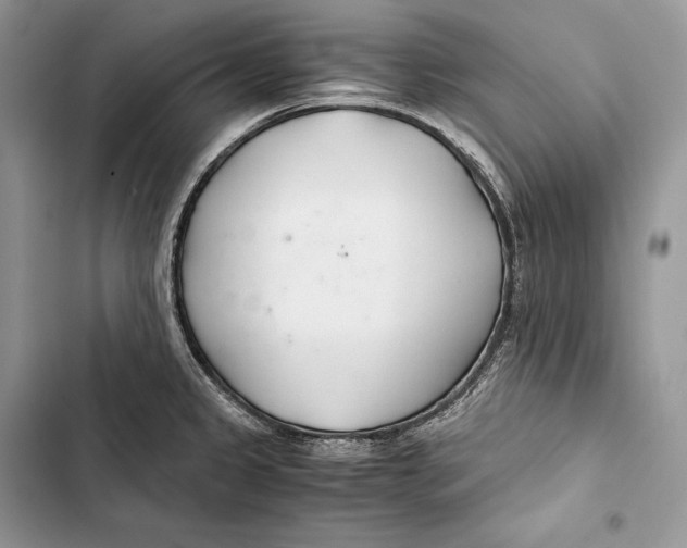 X0000103501333200810031619