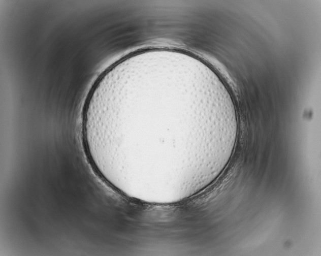 X0000103501335200810031619