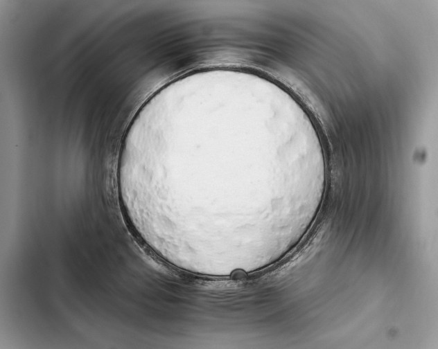 X0000103501337200810031619