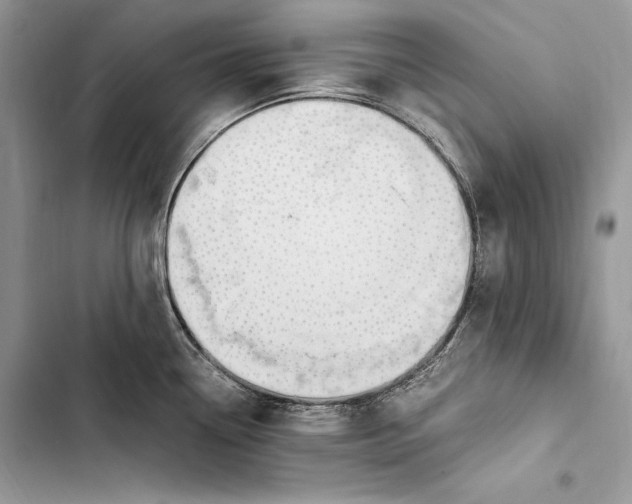 X0000103501338200810031619