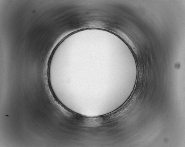 X0000103501339200810031619