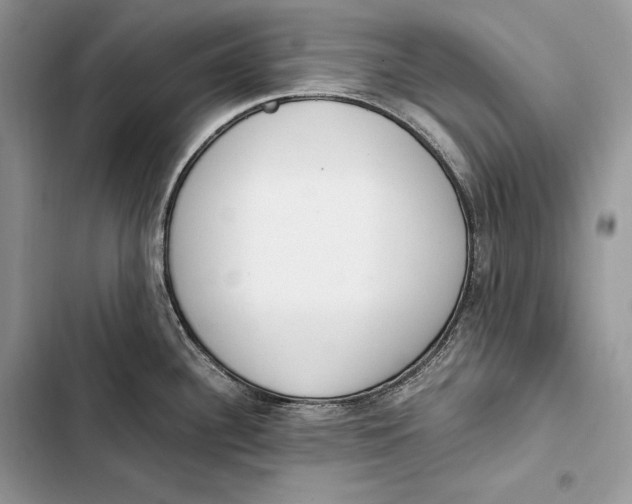 X0000103501340200810031619