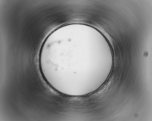 X0000103501341200810031619