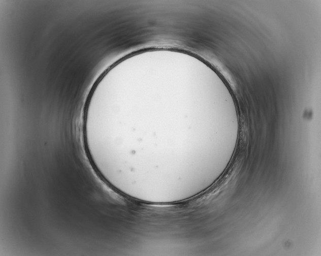 X0000103501343200810031619