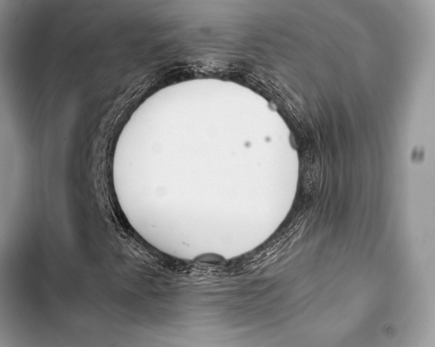 X0000103501345200810031619