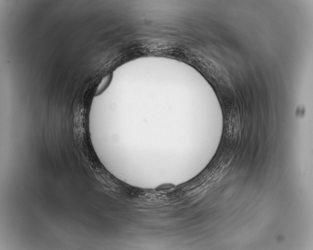 X0000103501346200810031619