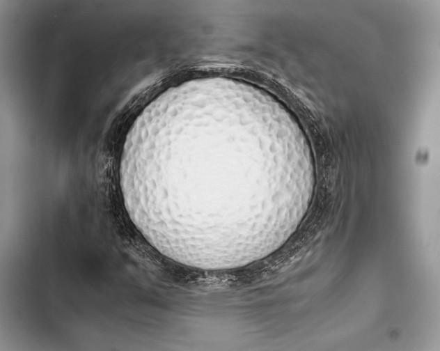 X0000103501351200810031619