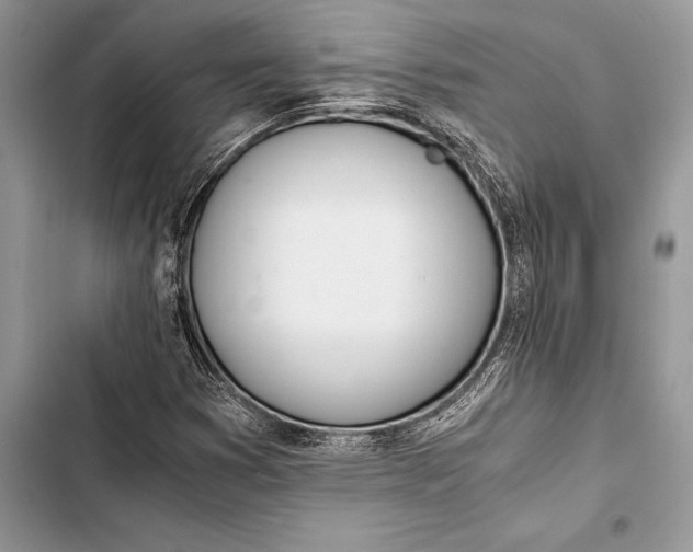 X0000103501353200810031619