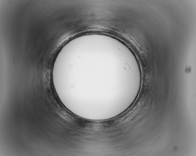 X0000103501355200810031619