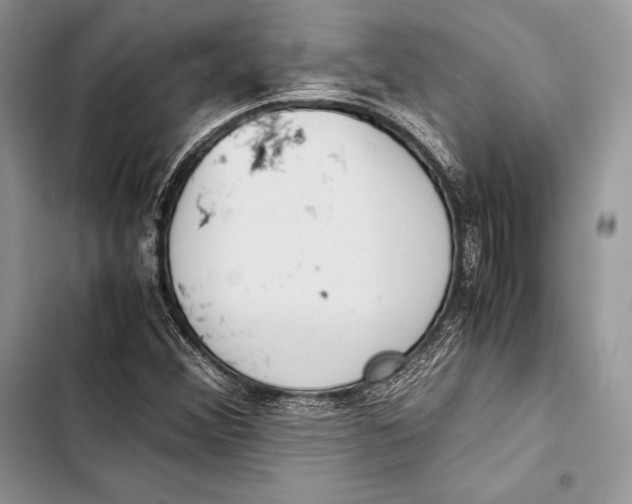 X0000103501356200810031619