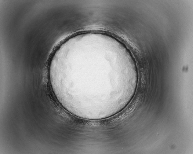 X0000103501358200810031619