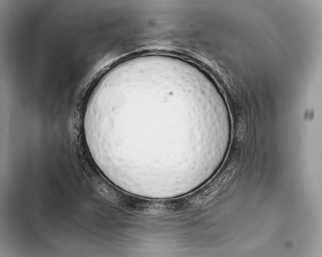 X0000103501359200810031619