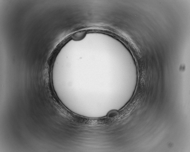 X0000103501360200810031619