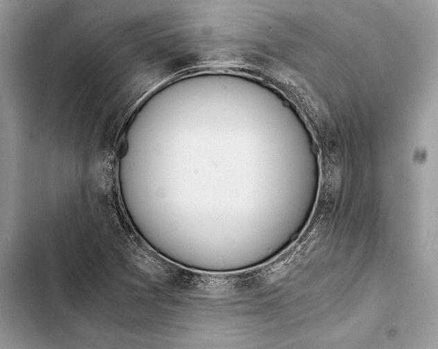 X0000103501361200810031619