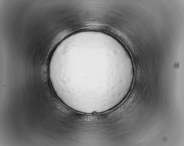 X0000103501362200810031619