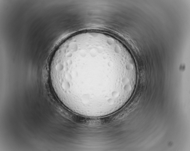 X0000103501363200810031619