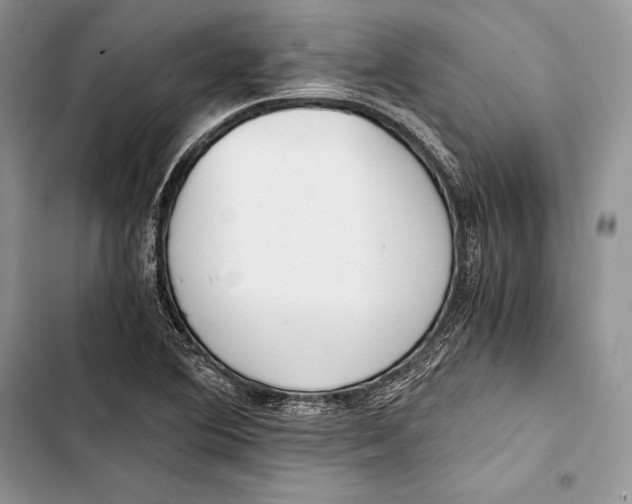 X0000103501364200810031619