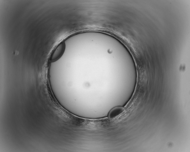 X0000103501365200810031619