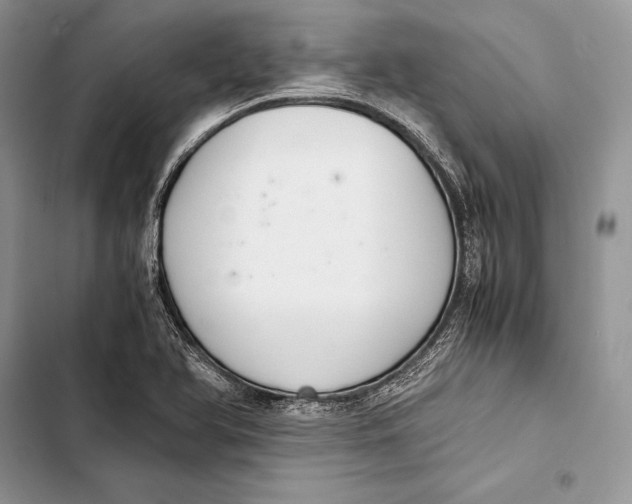 X0000103501366200810031619