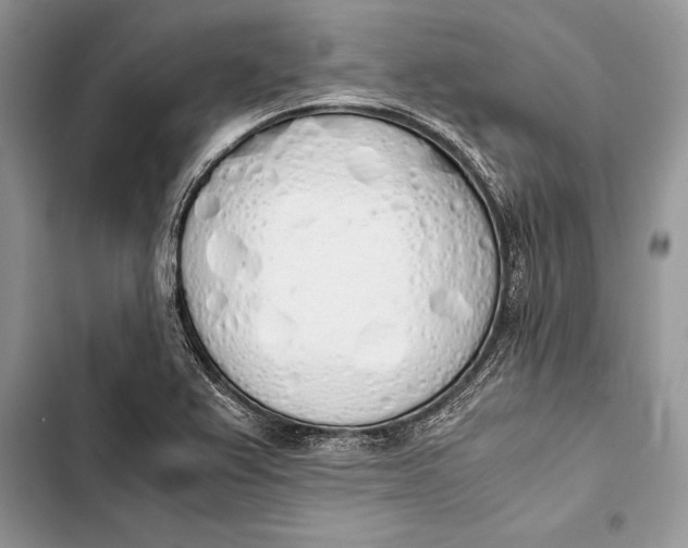 X0000103501367200810031618