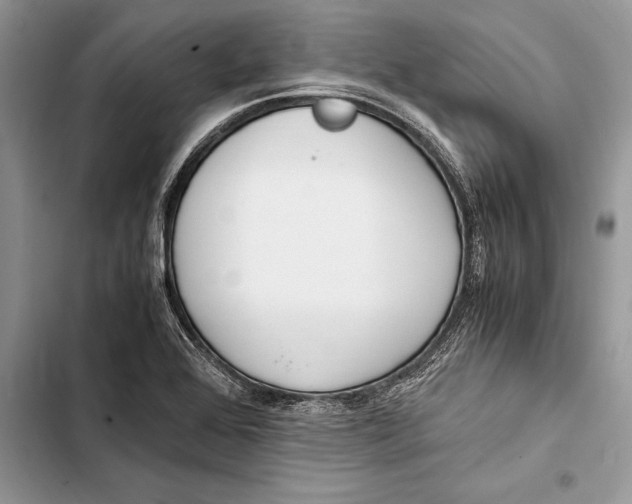 X0000103501368200810031618