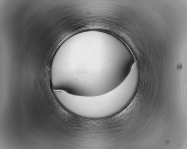 X0000103501369200810031618