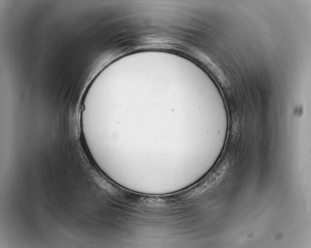 X0000103501370200810031618