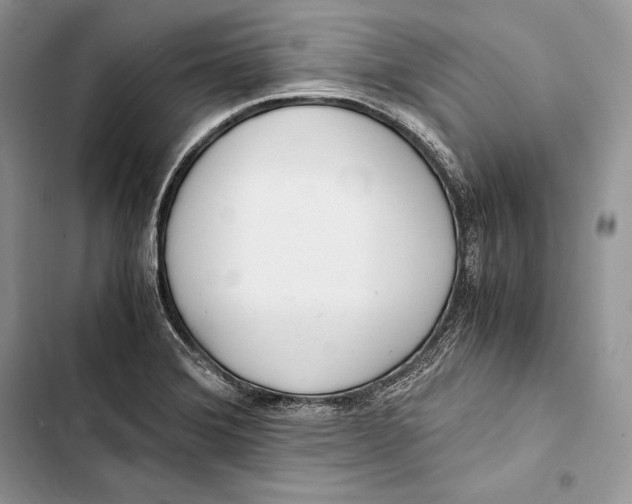 X0000103501372200810031618