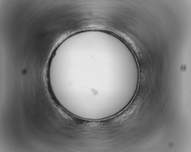 X0000103501373200810031618