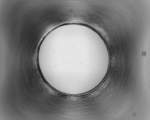 X0000103501374200810031618