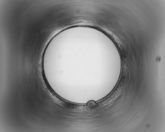 X0000103501375200810031618