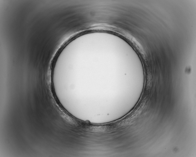 X0000103501376200810031618