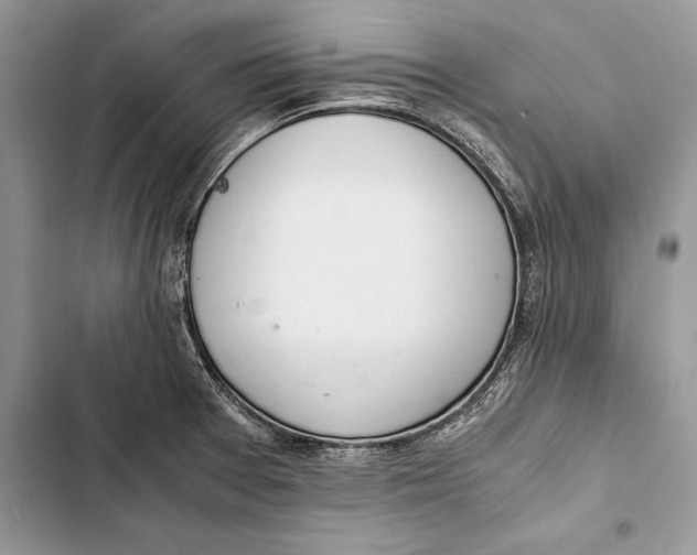 X0000103501377200810031618