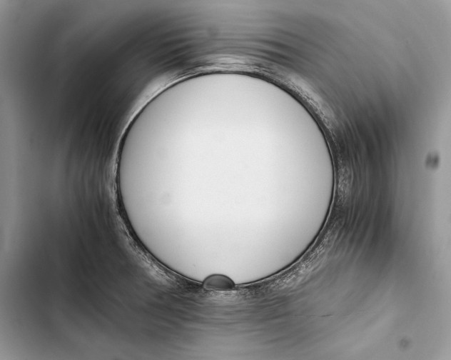 X0000103501378200810031618