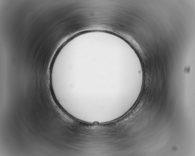 X0000103501380200810031618