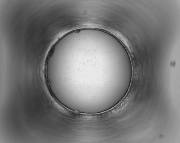 X0000103501381200810031618