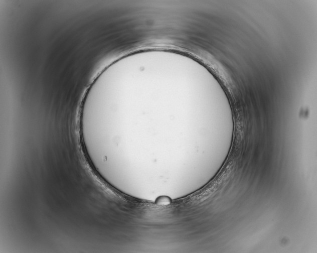 X0000103501382200810031618