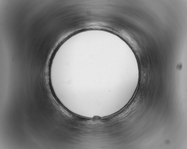 X0000103501384200810031618