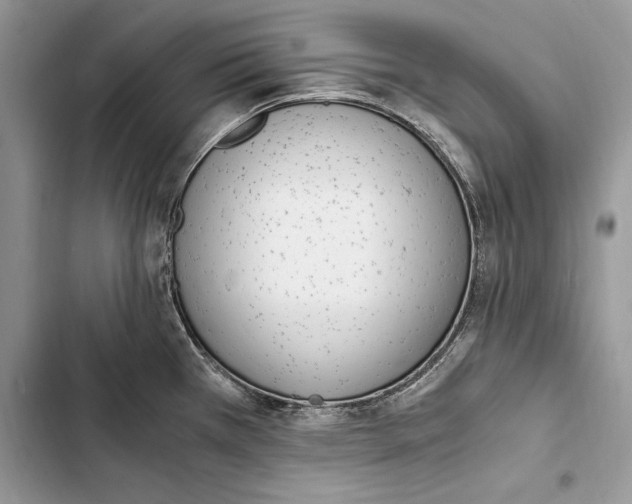 X0000103501385200810031618