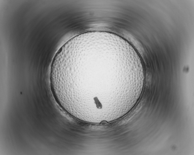 X0000103501386200810031618