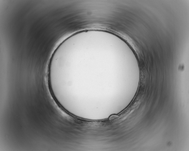 X0000103501387200810031618