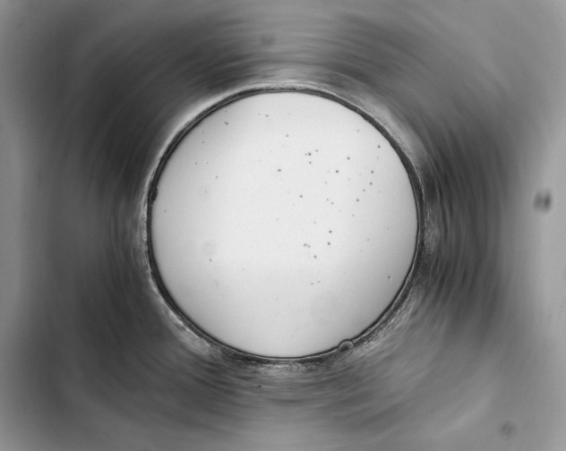 X0000103501388200810031618