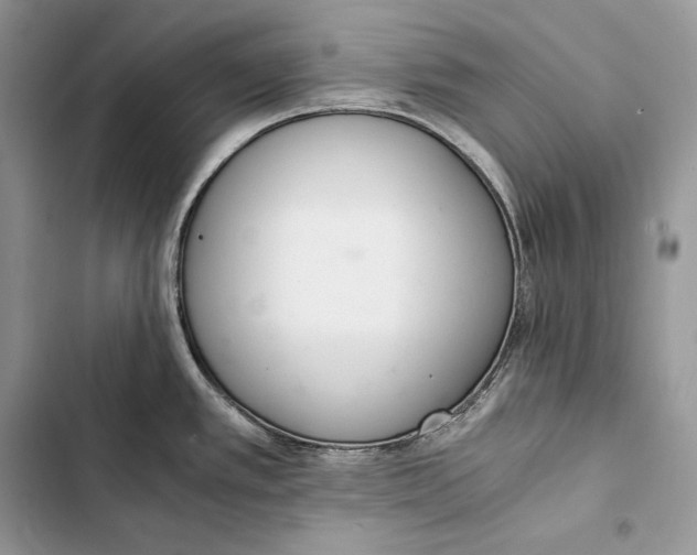 X0000103501389200810031618