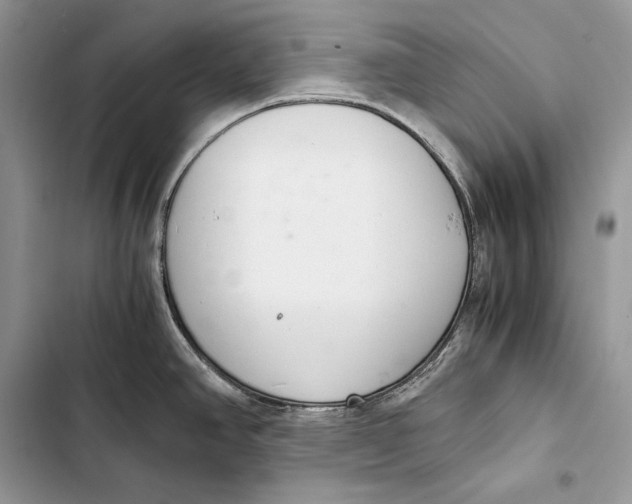 X0000103501390200810031618