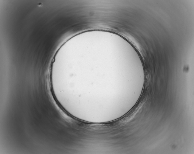 X0000103501391200810031618