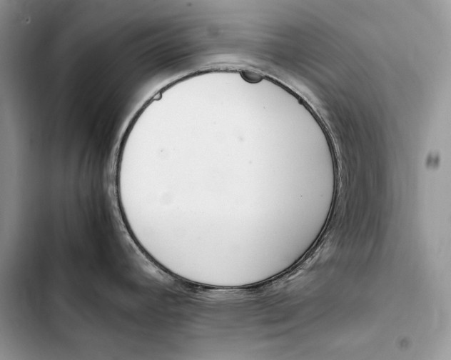 X0000103501392200810031618