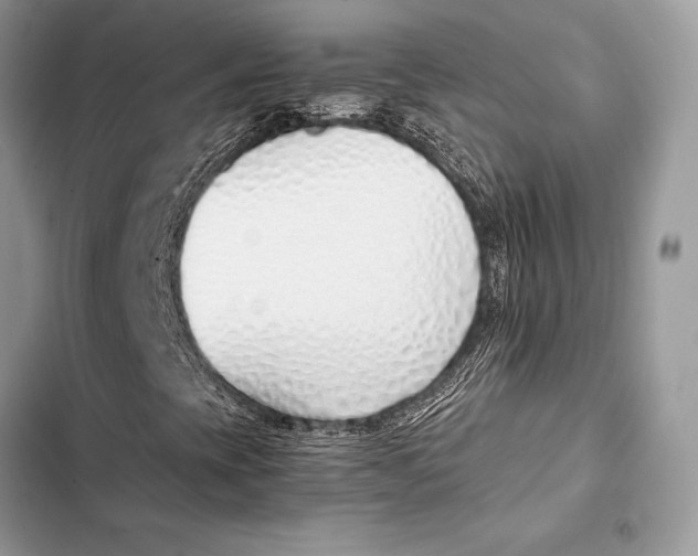 X0000103501393200810031617