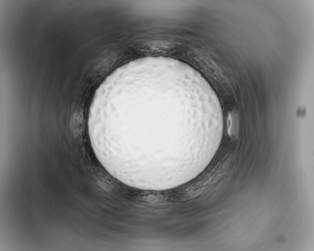 X0000103501395200810031618